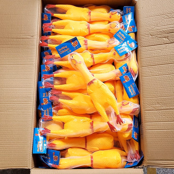 Đồ Chơi Trẻ Em Con Gà La Hét 55859 - Lady'S Passion - Ảnh 5