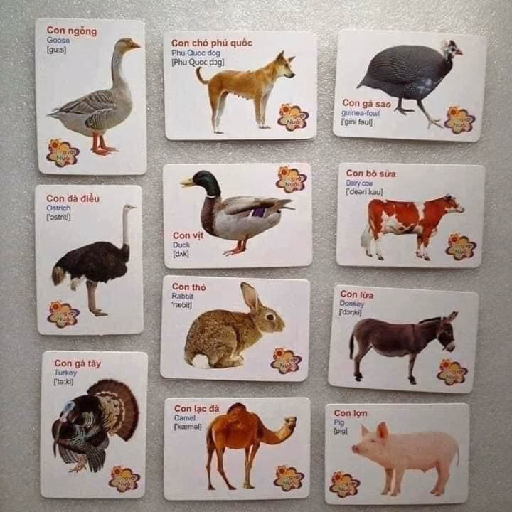 Thẻ Học Flash Card Cho Bé - Ảnh 2