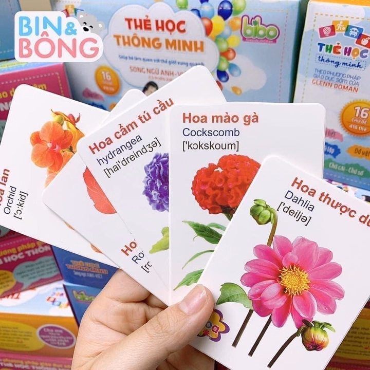 Thẻ Học Flash Card Cho Bé