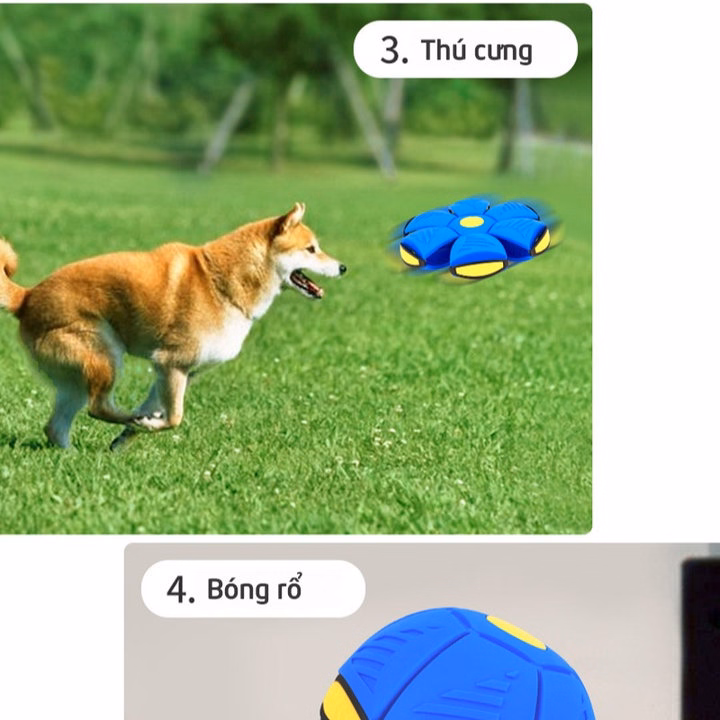 Quả Bóng Ma Thuật Biến Hình Phát Sáng 55516 - Lady'S Passion - Ảnh 5