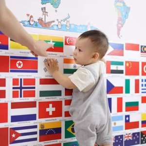 Bộ Thẻ Học Flashcard Cờ Các Nước 55487 - Lady'S Passion