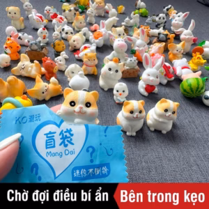 Combo 5 Viên Đồ Chơi Bóc Kẹo Bí Mật 57282 - Lady'S Passion