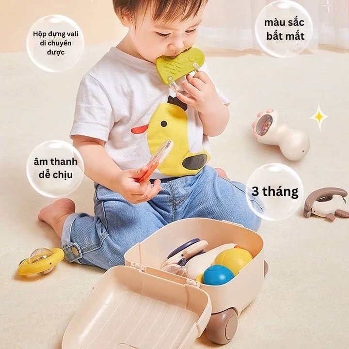 Bộ Vali Xúc Xắc Gặm Nướu 10 Món Hd033 - Lady'S Passion - Ảnh 7