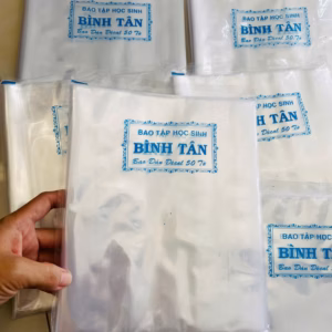 Xấp 20 Cái Bìa Bao Vở 016 - Lady'S Passion