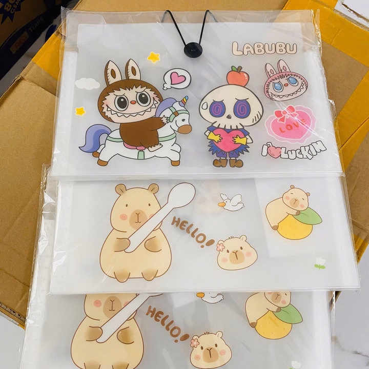 Túi Đựng Tài Liệu 8 Ngăn Khóa Dây Tặng Kèm Giấy Đánh Dấu 071 - Lady'S Passion - Ảnh 2