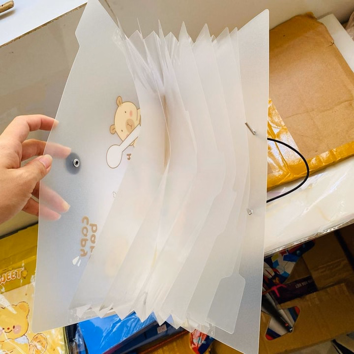 Túi Đựng Tài Liệu 8 Ngăn Khóa Dây Tặng Kèm Giấy Đánh Dấu 071 - Lady'S Passion - Ảnh 3