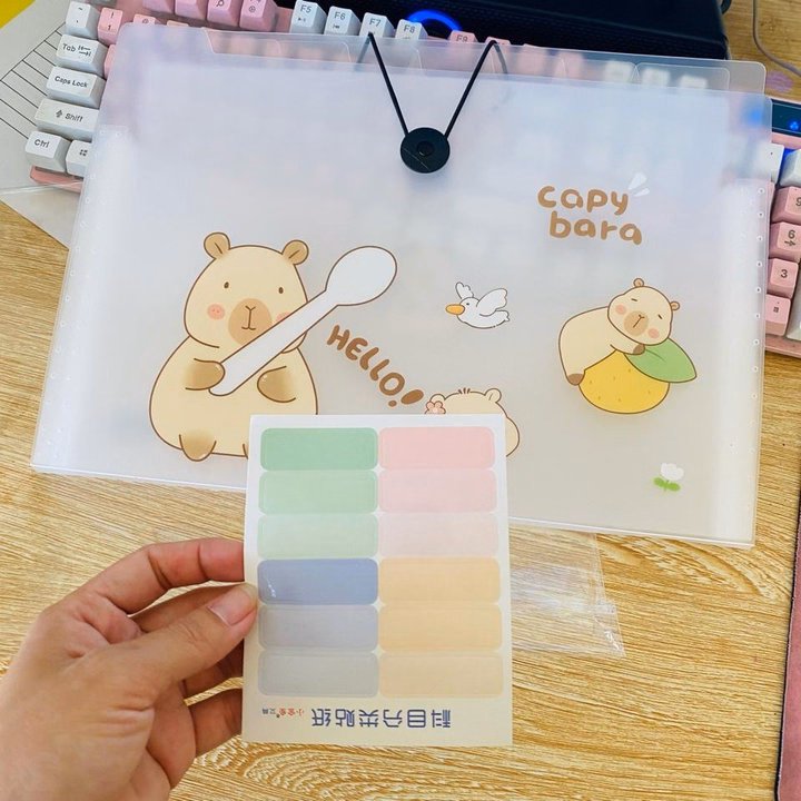 Túi Đựng Tài Liệu 8 Ngăn Khóa Dây Tặng Kèm Giấy Đánh Dấu 071 - Lady'S Passion - Ảnh 4