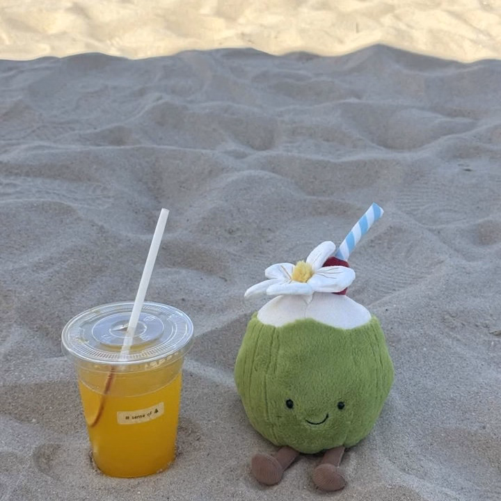 Gấu Bông Hình Trái Cây Chanh Và Dừa - Ảnh 6