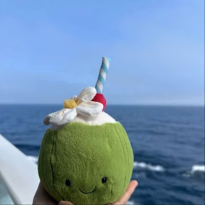 Gấu Bông Hình Trái Cây Chanh Và Dừa